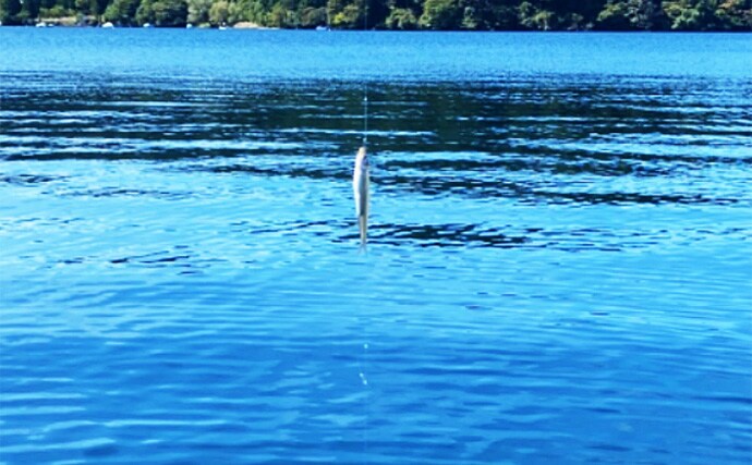 「ワカサギ釣りと足漕ぎカヤックの相性は想像以上!」大群捉えて入れ食い堪能【芦ノ湖】