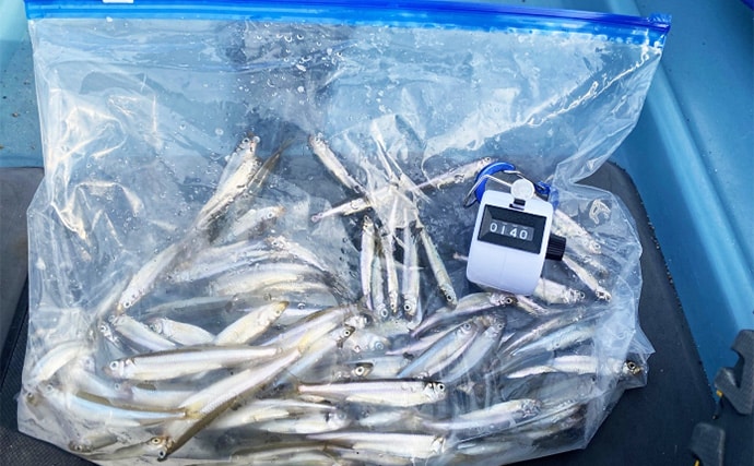 「ワカサギ釣りと足漕ぎカヤックの相性は想像以上!」大群捉えて入れ食い堪能【芦ノ湖】