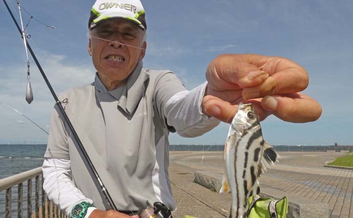 「内房でのんびり釣り日和」富津みなと公園のちょい投げ釣りでハゼ&セイゴ好調【千葉】