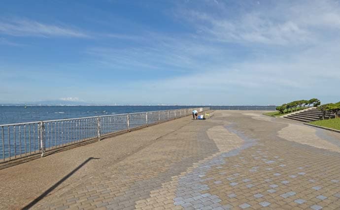 「内房でのんびり釣り日和」富津みなと公園のちょい投げ釣りでハゼ&セイゴ好調【千葉】