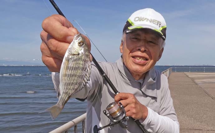 「内房でのんびり釣り日和」富津みなと公園のちょい投げ釣りでハゼ&セイゴ好調【千葉】