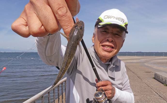 「内房でのんびり釣り日和」富津みなと公園のちょい投げ釣りでハゼ&セイゴ好調【千葉】