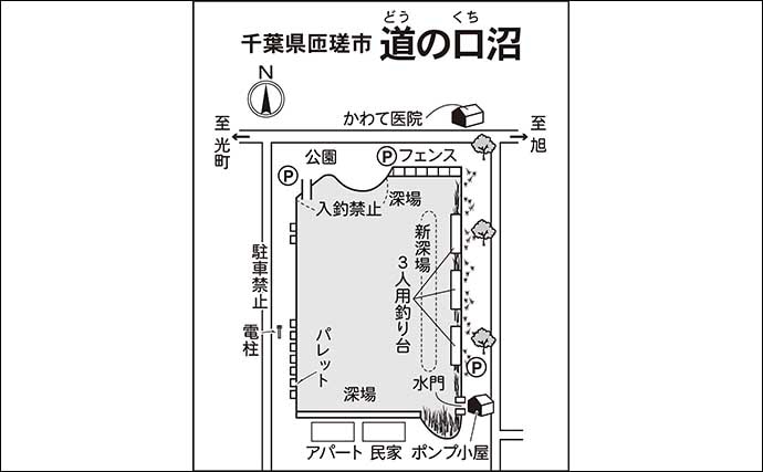 今週のヘラブナ推薦釣り場2026【千葉県・道の口沼】