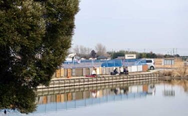 今週のヘラブナ推薦釣り場2026【千葉県・道の口沼】