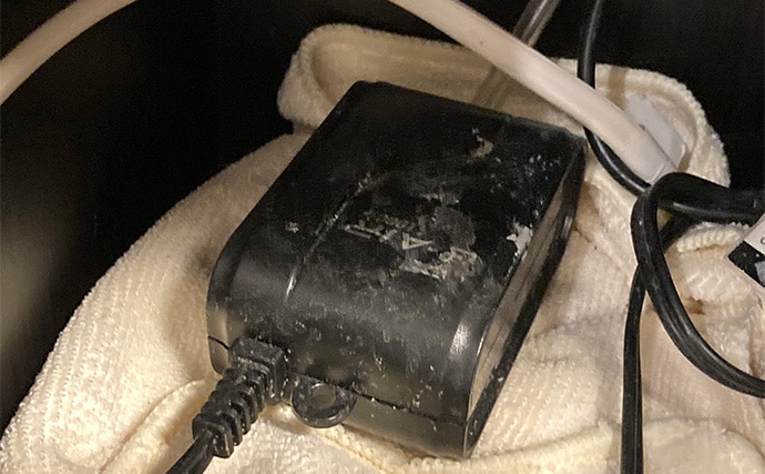 「最初はこれだけあればOK！」　魚の飼育に最低限必要なアイテム7選