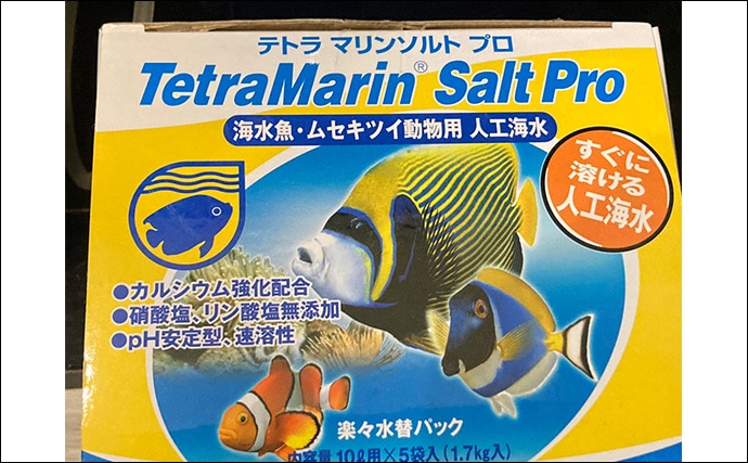 「最初はこれだけあればOK！」　魚の飼育に最低限必要なアイテム7選