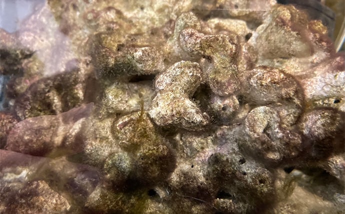 「最初はこれだけあればOK！」　魚の飼育に最低限必要なアイテム7選