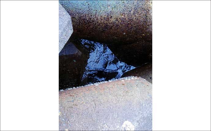 厳冬期の穴釣りで15cm級カサゴ手中【三重】消波ブロック帯を丁寧に攻めて快心の一匹
