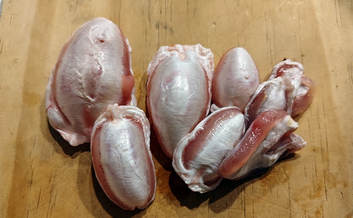 「相模湾のホウボウ釣りがシーズンイン！」天秤仕掛けのエサ釣りで竿頭ゲット【庄三郎丸】