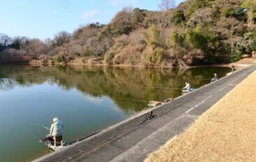 今週のヘラブナ推薦釣り場【静岡県・城池】