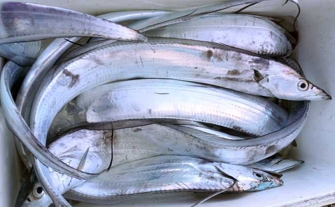 タコベイトを用いたテンビンタチウオ釣りで105cmドラゴン登場！【神奈川】船中トップ27尾の好釣果