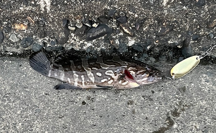 初めて買うルアーは「ダイソーの5gスプーン」で決まり！　コスパ高い＆しっかり釣れる