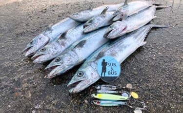 午後の時合いにサゴシ5連発！【大阪南港魚つり園】メタルジグ速巻きに好反応