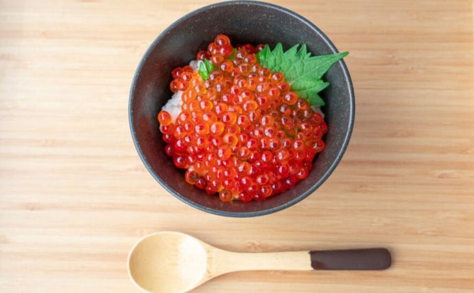 「魚卵好きの日本人なら分かって当然?」キャビア、カラスミ、ブリコ・・何の魚の卵?