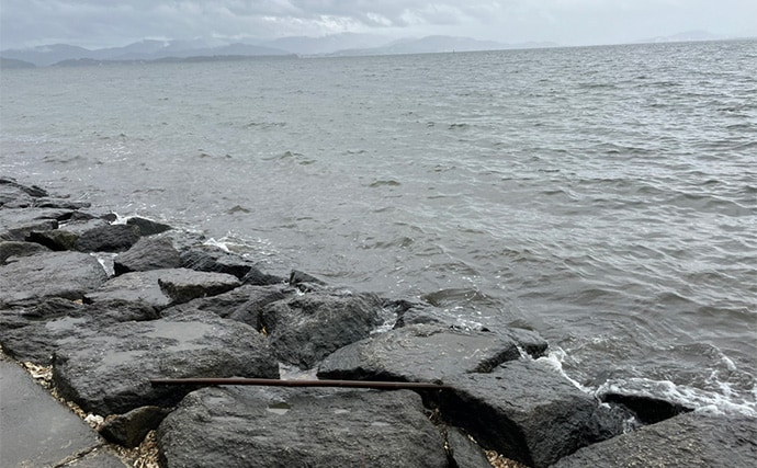 「冷凍アサリ+直リグ=アサリグ」でアタリ連発!【静岡】チヌにへダイをキャッチ成功