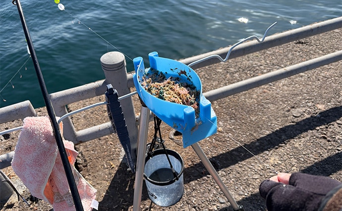 「大群なのになぜ釣れない？」サヨリ釣りで初めは苦戦も50匹好捕【鹿島港魚釣園】