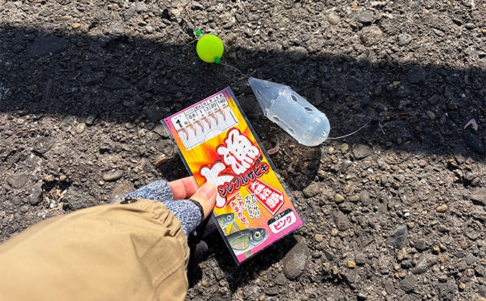 「大群なのになぜ釣れない？」サヨリ釣りで初めは苦戦も50匹好捕【鹿島港魚釣園】