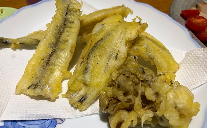 「大群なのになぜ釣れない？」サヨリ釣りで初めは苦戦も50匹好捕【鹿島港魚釣園】