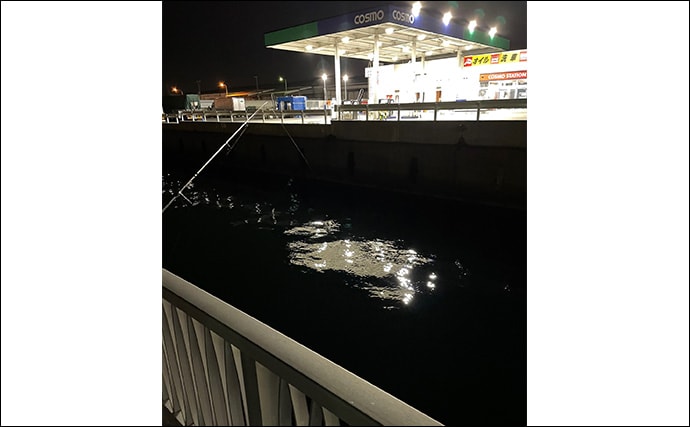 「アジが釣れる場所はココ！」 アジングで重点的に狙うべきポイント5選