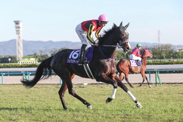 昨年のエリザベス女王杯でのリンクスティップ（結果は4着）。今年の躍進に期待だ