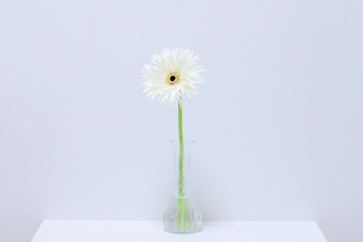 セリアの花瓶おすすめ6選｜大きめのものやおしゃれな一輪挿しも紹介