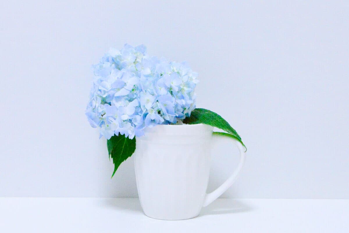 セリアの花瓶おすすめ6選｜大きめのものやおしゃれな一輪挿しも紹介