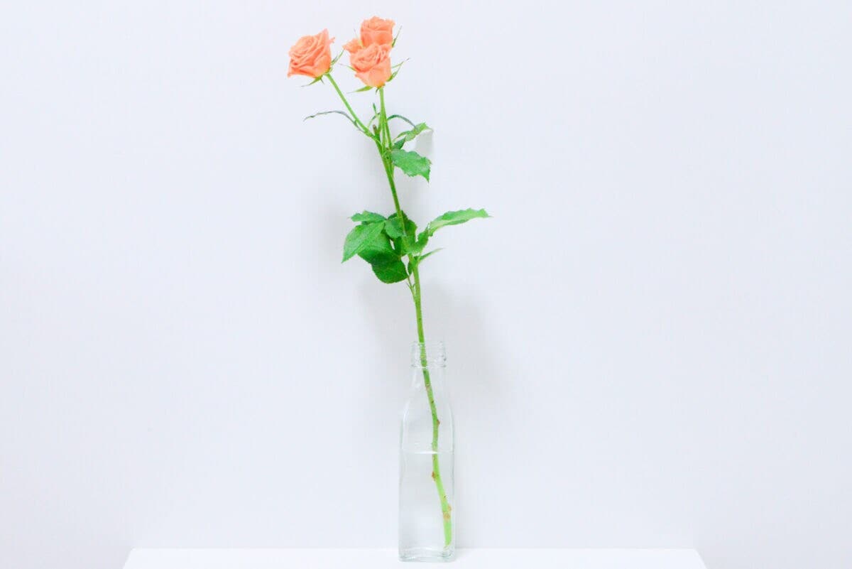 セリアの花瓶おすすめ6選｜大きめのものやおしゃれな一輪挿しも紹介