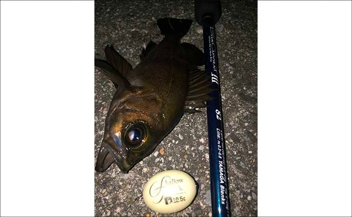 フロートリグ専用のメバリングロッドは必要？ 他釣り物にも流用可能で実用性高し