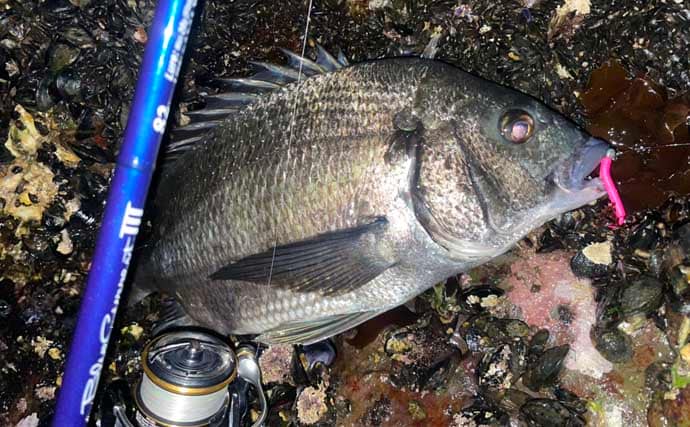 フロートリグ専用のメバリングロッドは必要？ 他釣り物にも流用可能で実用性高し