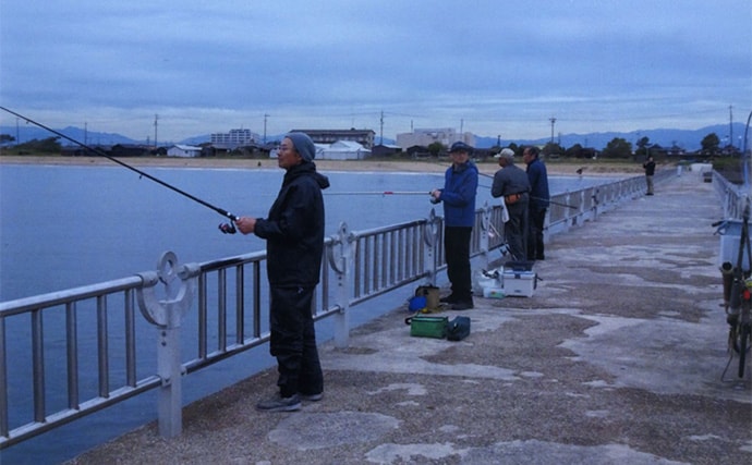 白子漁港釣り桟橋で投げサビキに挑戦【三重】単発回遊を拾ってウルメイワシ＆サッパ確保