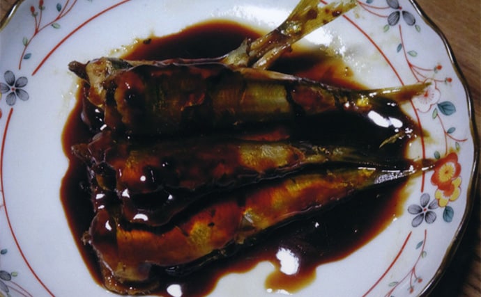 白子漁港釣り桟橋で投げサビキに挑戦【三重】単発回遊を拾ってウルメイワシ＆サッパ確保