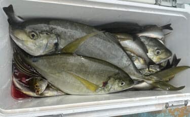 船シマアジ釣り名手のタックル詳細を公開　竿の素材3種類を使い分ける理由とは？