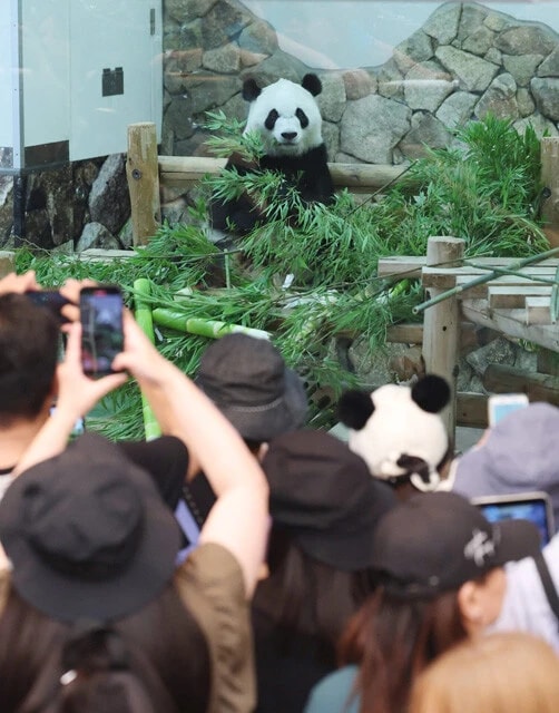 和歌山県白浜町にあるアドベンチャーワールドでは昨年6月に多くの人がパンダとの別れを惜しんだ
