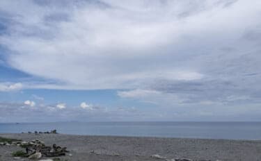 <アオザメ>の驚くべき体温調節能力が明らかに 低水温の深海に潜る前に体温を上げる?