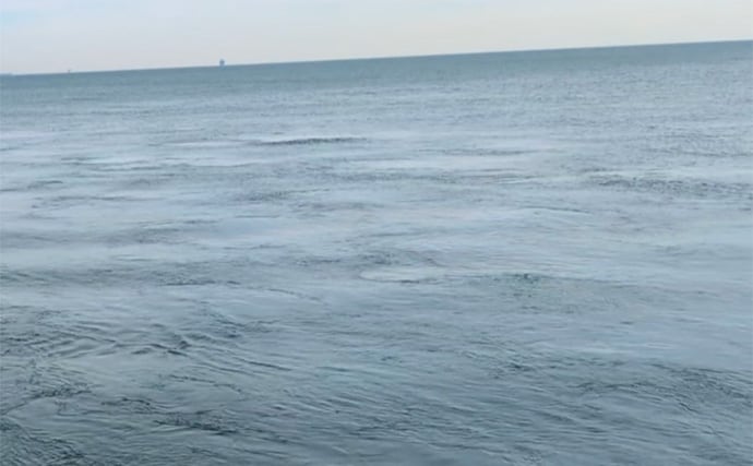 暴風＆激流の淡路島ライトゲームでガシラ30匹超えキャッチ【兵庫】25cm級も登場