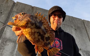 暴風＆激流の淡路島ライトゲームでガシラ30匹超えキャッチ【兵庫】25cm級も登場