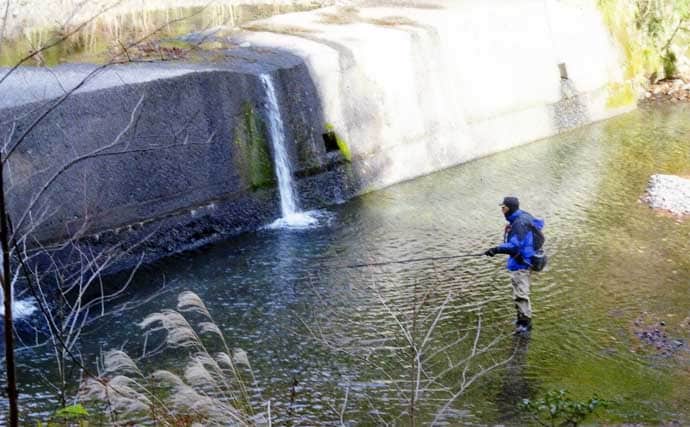 解禁2日目の渓流釣りで26cmニジマスを手中【滋賀・田村川】アマゴやイワナも登場