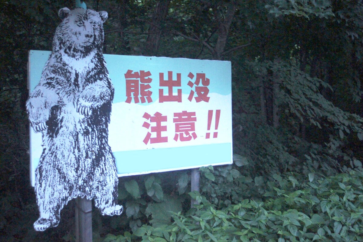 今年のクマ被害は過去最悪レベルにまで達している