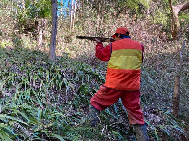 「シカを人里に近づけないことがクマ被害の防止につながるのでは」と加藤さん