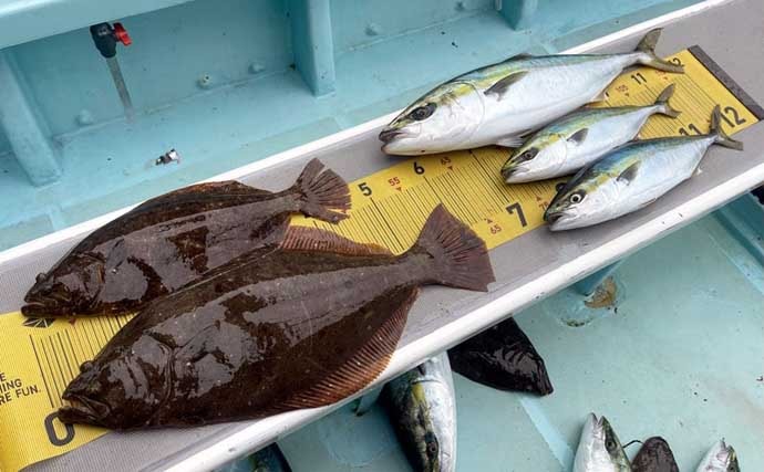 【沖釣り釣果速報】アマダイ便で良型続々！シロアマダイやイトヨリも好調（愛知・静岡）