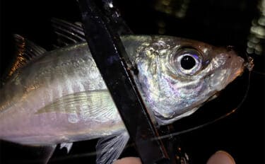 「ミスキャストを自動で補正？」 未来のリールに付いたら嬉しい機能を妄想してみた