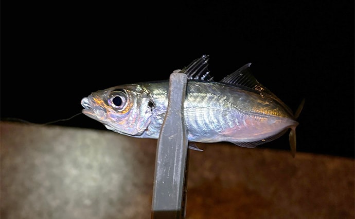 「ミスキャストを自動で補正？」 未来のリールに付いたら嬉しい機能を妄想してみた