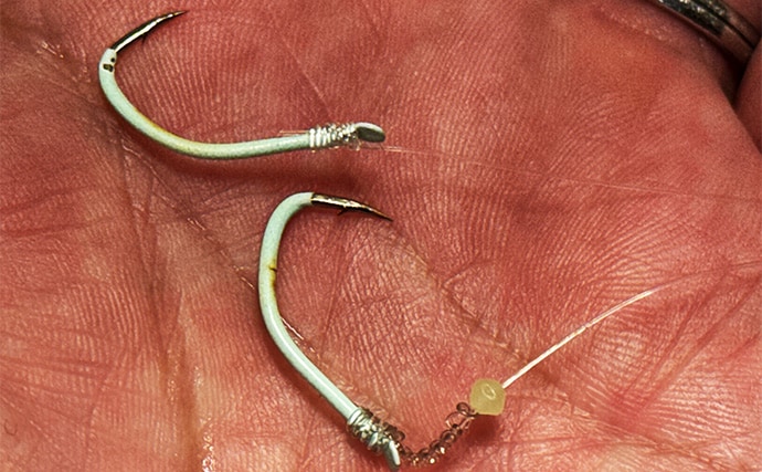 「コマセ釣りは向こうアワセでいいんじゃないの？」シマアジ釣りのアタリの出方と2つのアワセのタイミング