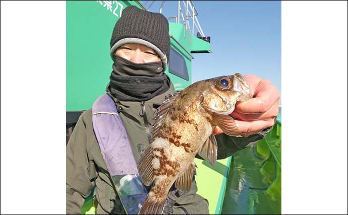 東京湾のカサゴ＆メバル釣りで本命連発【浦安・吉野屋】25cm超え良型交じり船中好反応
