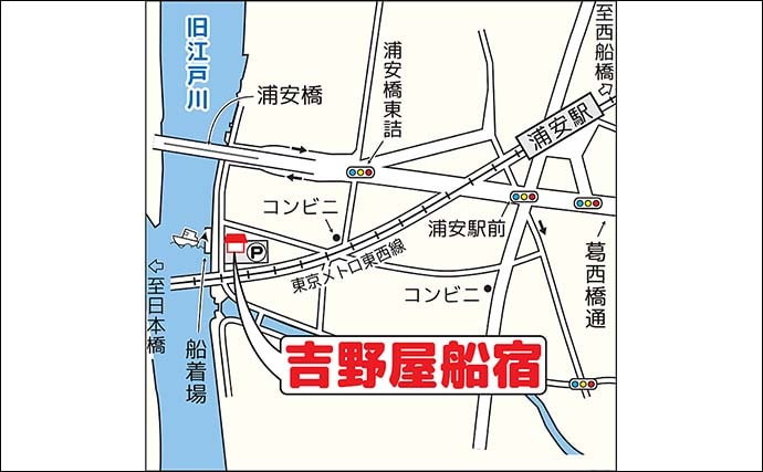 東京湾のカサゴ＆メバル釣りで本命連発【浦安・吉野屋】25cm超え良型交じり船中好反応