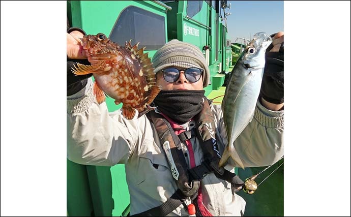 東京湾のカサゴ＆メバル釣りで本命連発【浦安・吉野屋】25cm超え良型交じり船中好反応
