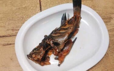 釣魚で作る「日本の味」レシピ:メバルの焼き絞め 煮付けが余ったらお試しを!