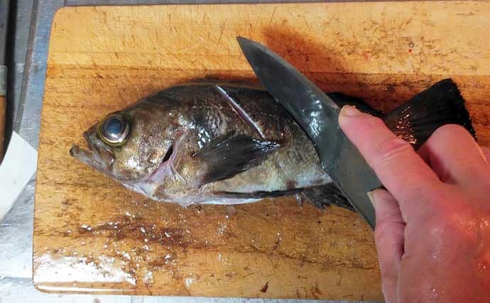 釣魚で作る「日本の味」レシピ：メバルの焼き絞め　煮付けが余ったらお試しを！