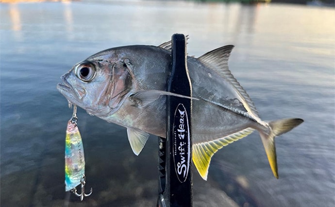 中紀エリアのライトゲームで良型メッキ連発！【和歌山】トップウォータープラグに好反応