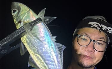アジングで31cm頭に良型アジ2桁釣果【熊本・天草】キャロとジグ単の使い分けで速い潮流を攻略